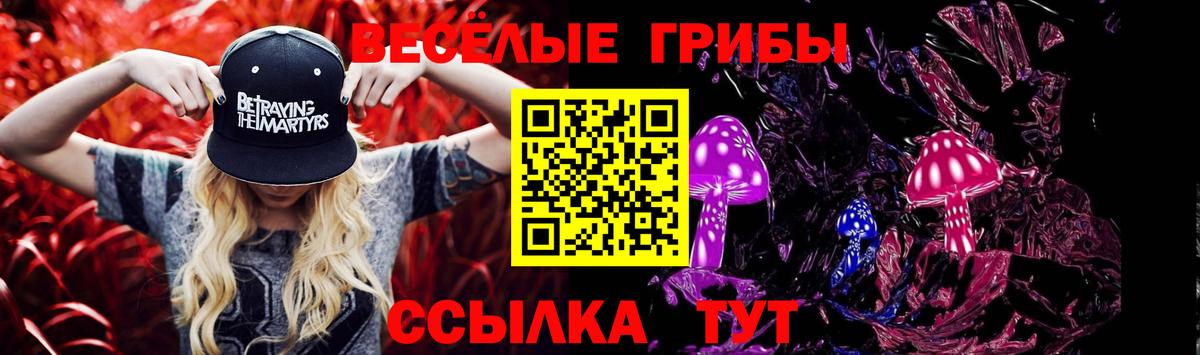 Киселёвск  Псилоцибиновые грибы прущие грибы  Вход с VPN 
